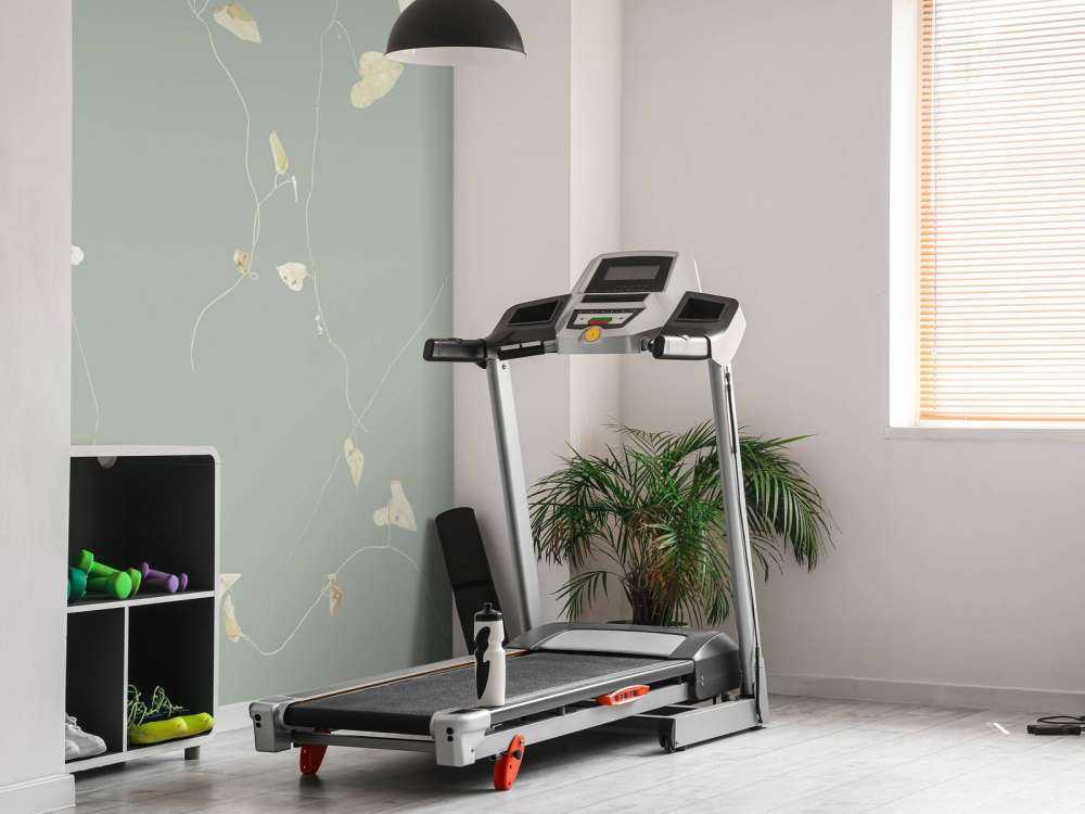 Branches d'aubépine gris vert