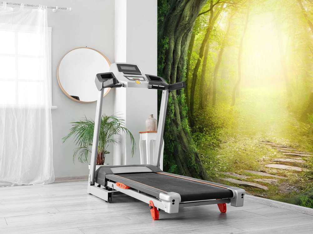 Sentier à travers la forêt