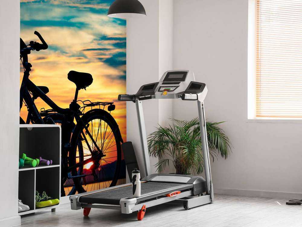 Vélo au coucher du soleil