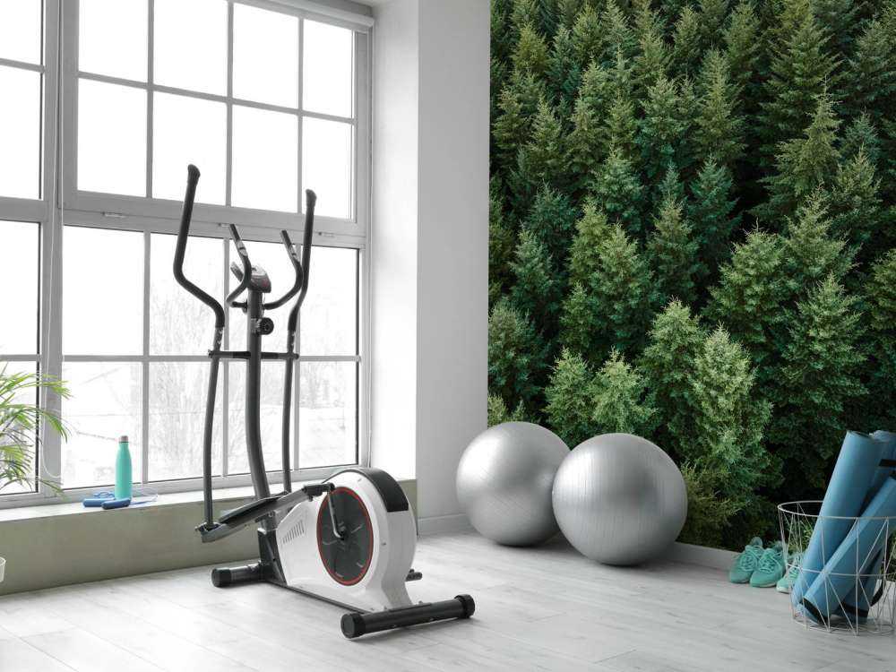 Les sapins de Douglas vus d'en haut