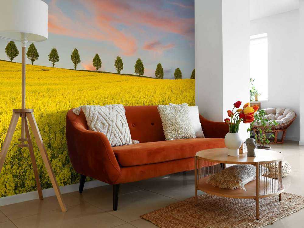 Champ plein de fleurs jaunes