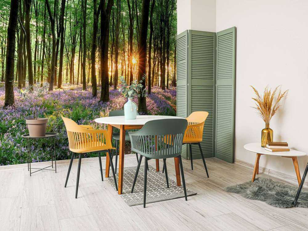 Chemin forestier au lever du soleil