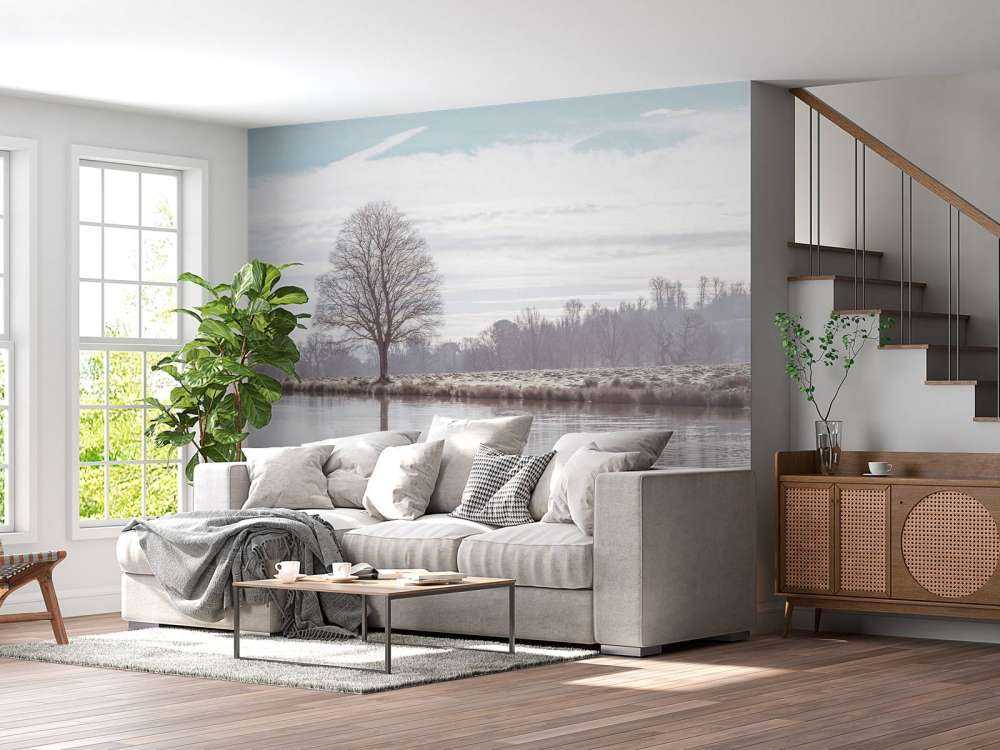 Arbre dans un brouillard