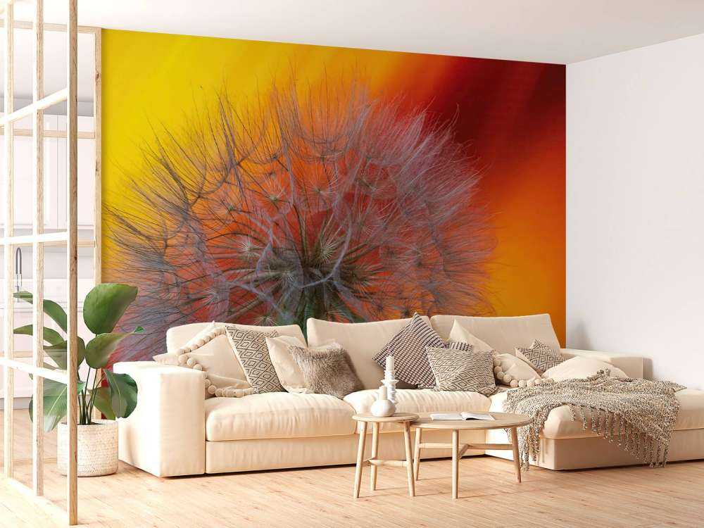 Gros plan sur un pissenlit