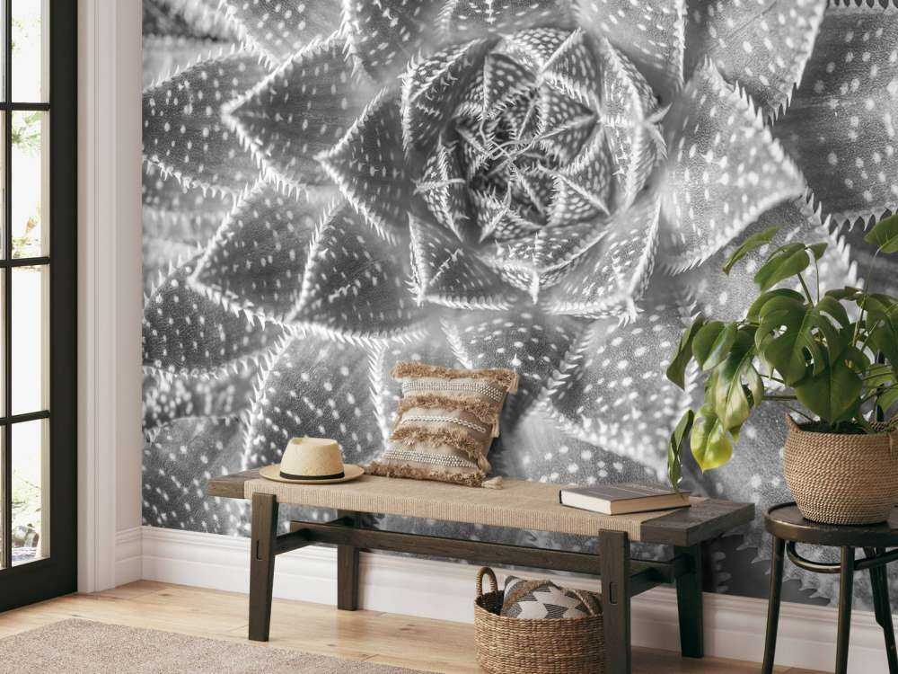 Succulente en noir et blanc