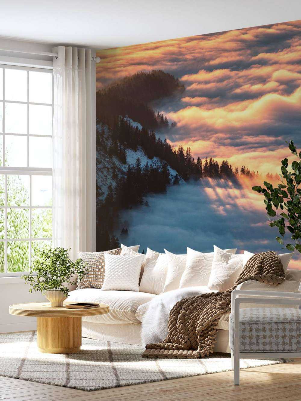 Lueur du matin sur une forêt de montagne brumeuse