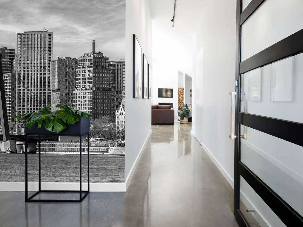 Skyline Noir-Blanc avec Willemsbrug