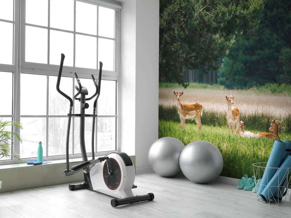 Vredige Weide avec des Chevreuils Sauvages