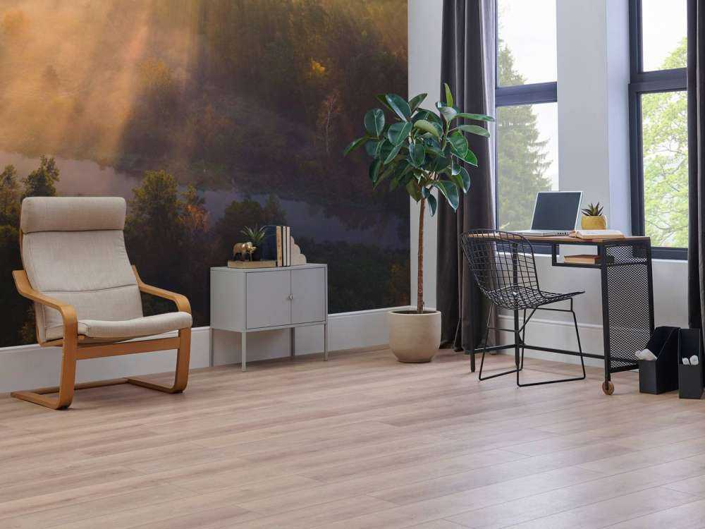 Brume matinale rêveuse dans la nature