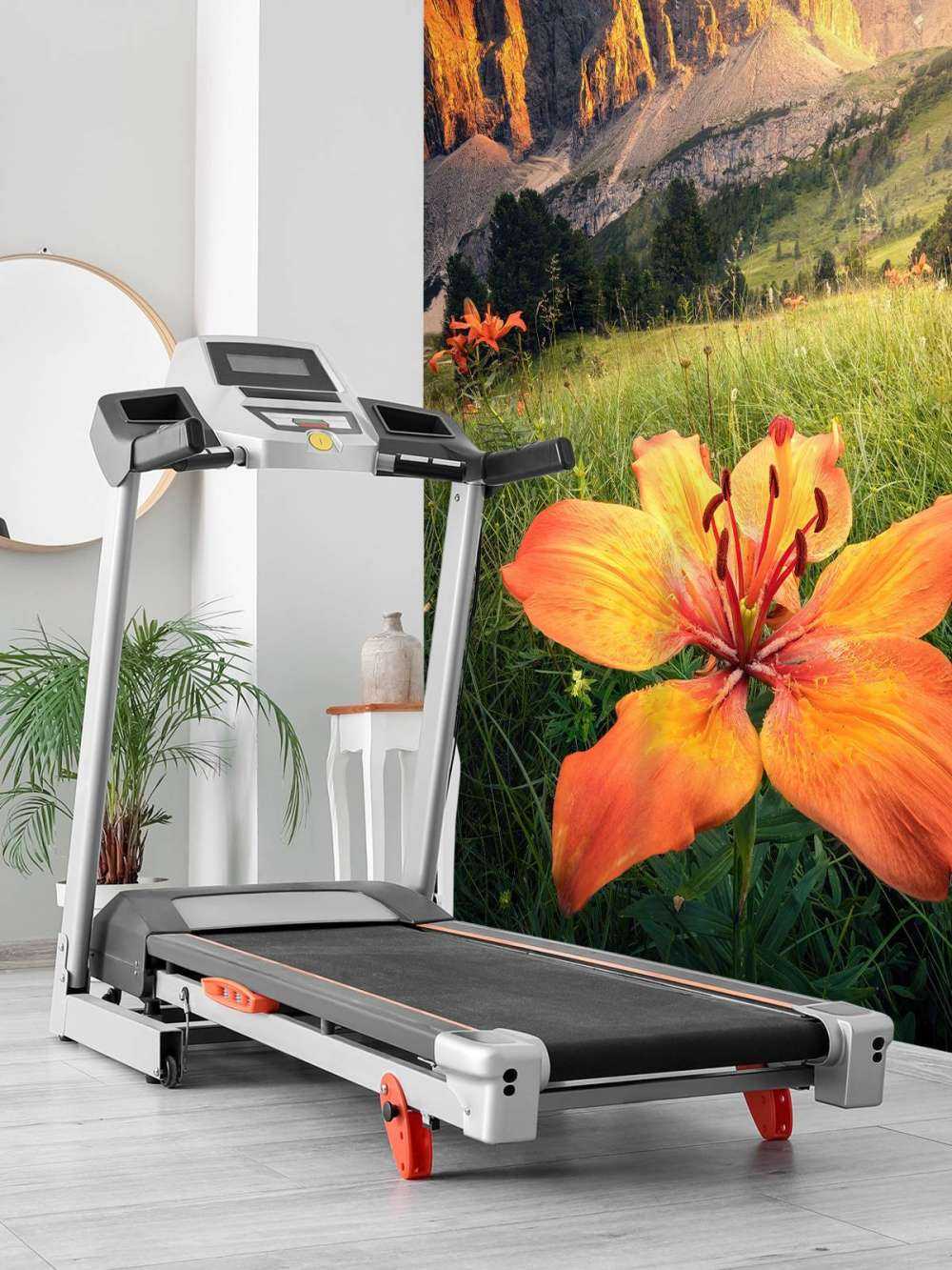 Paysage alpin ardent avec des lys