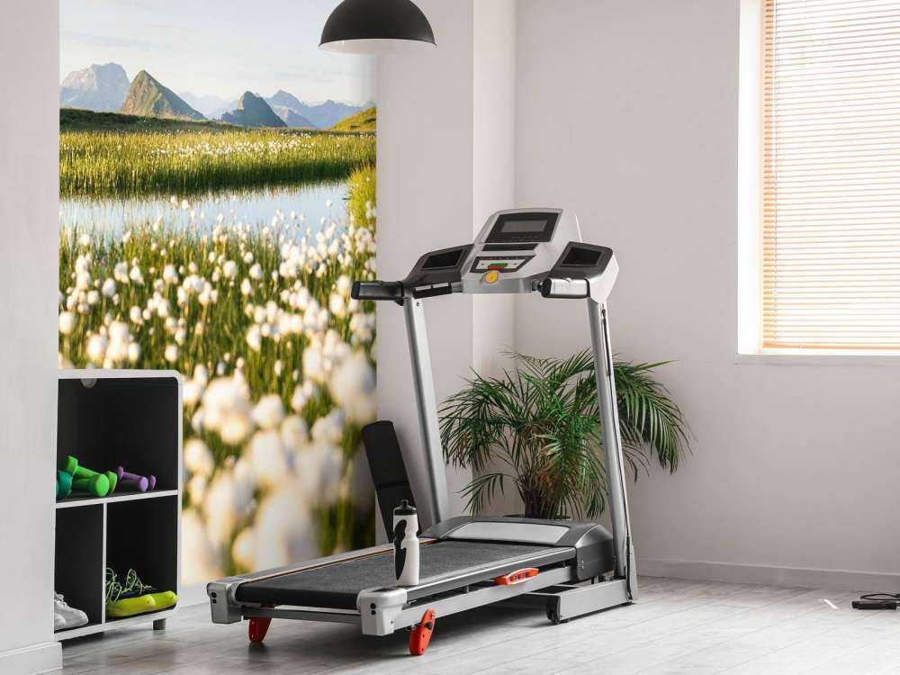 Lumière estivale sur un paysage tourbeux fleuri