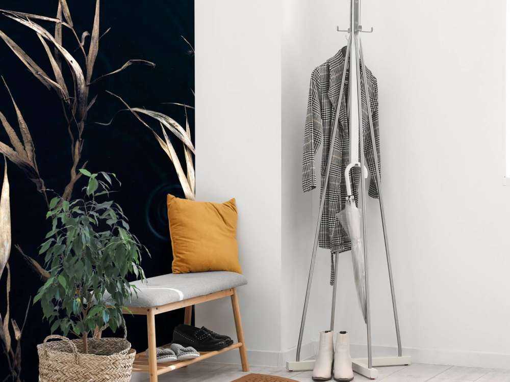 Riet dans l'eau calme