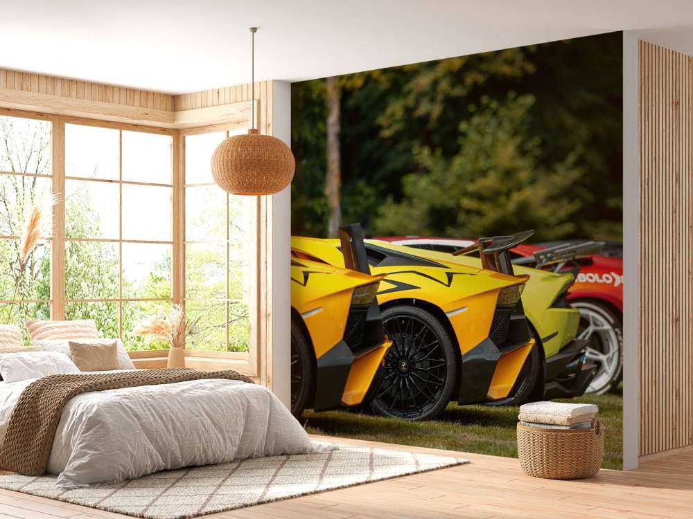 Collection de supercars dans la nature