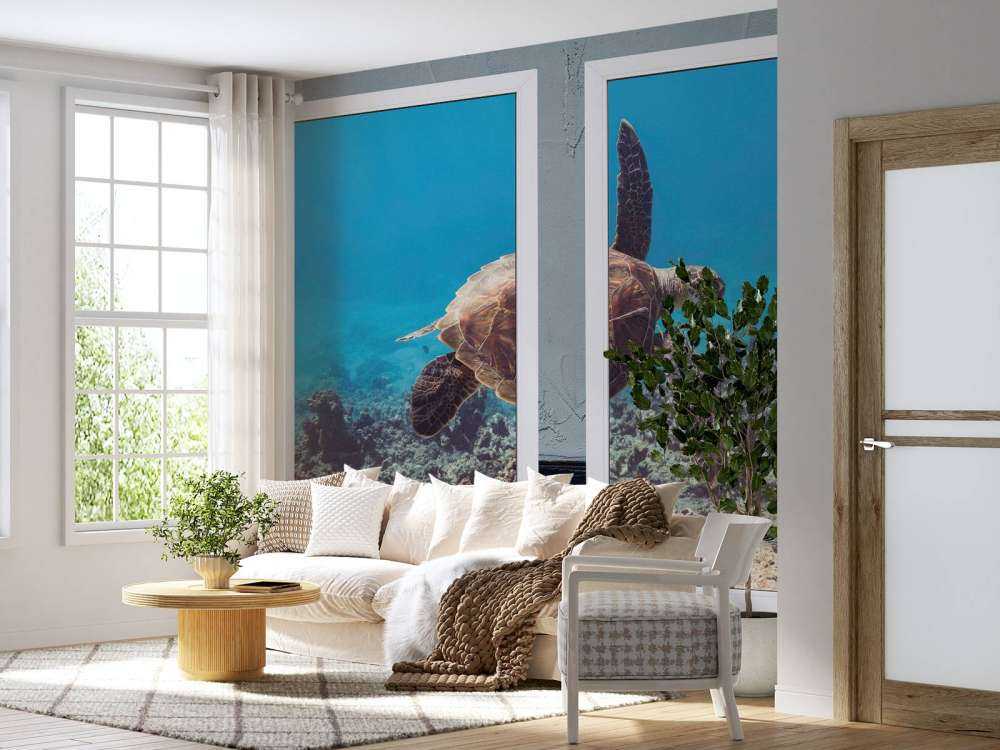 Tortue de mer au-dessus du récif corallien