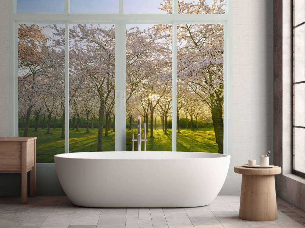 Bloesempark au soleil de printemps