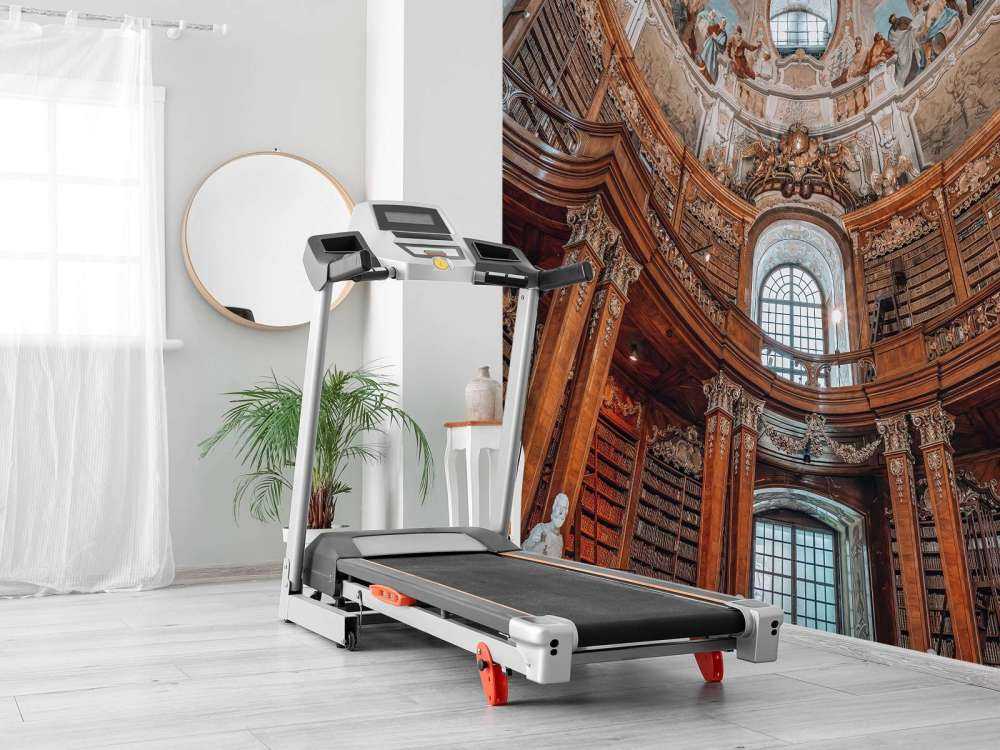 Domaine du livre baroque