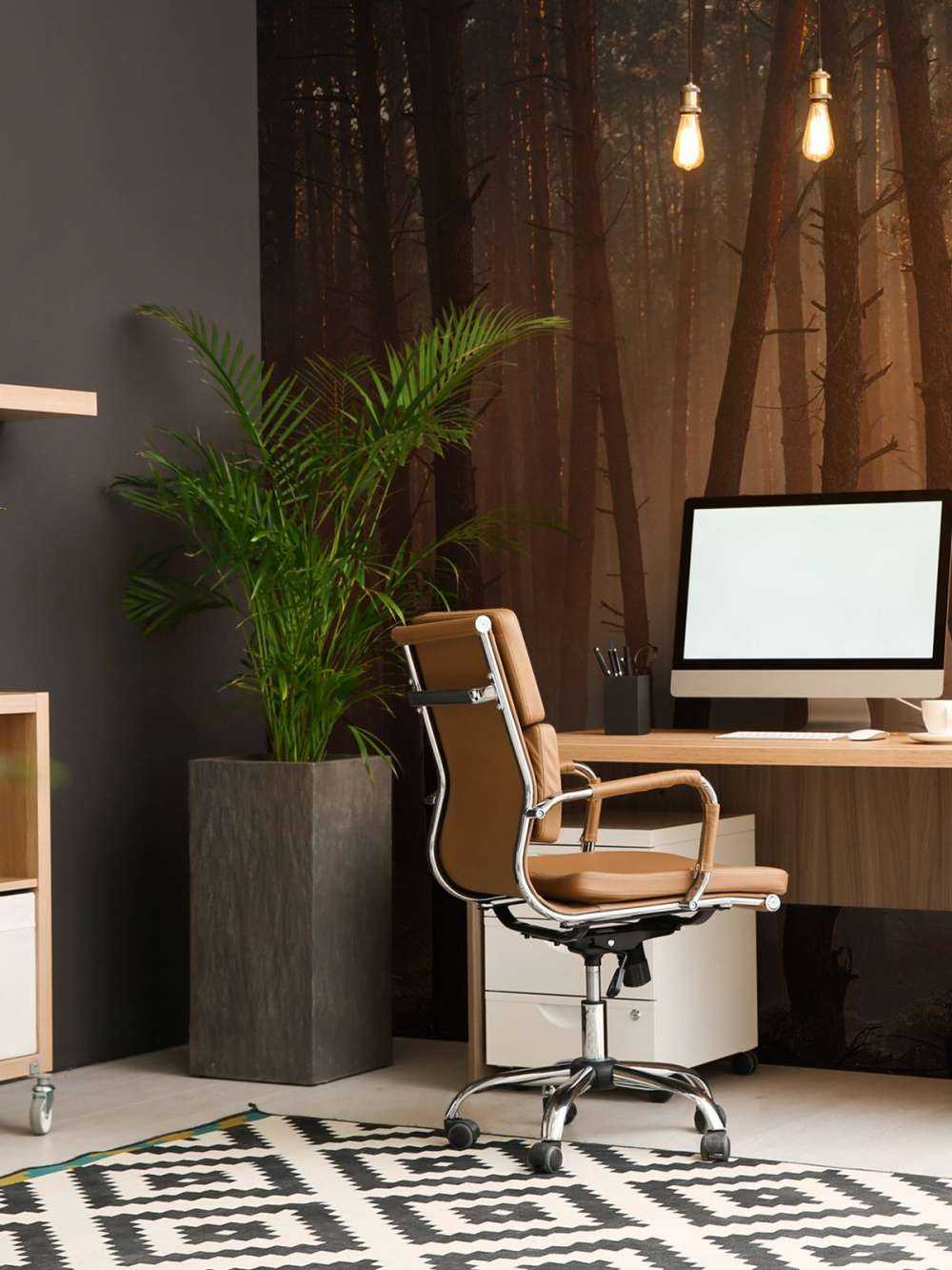 Transition des Saisons