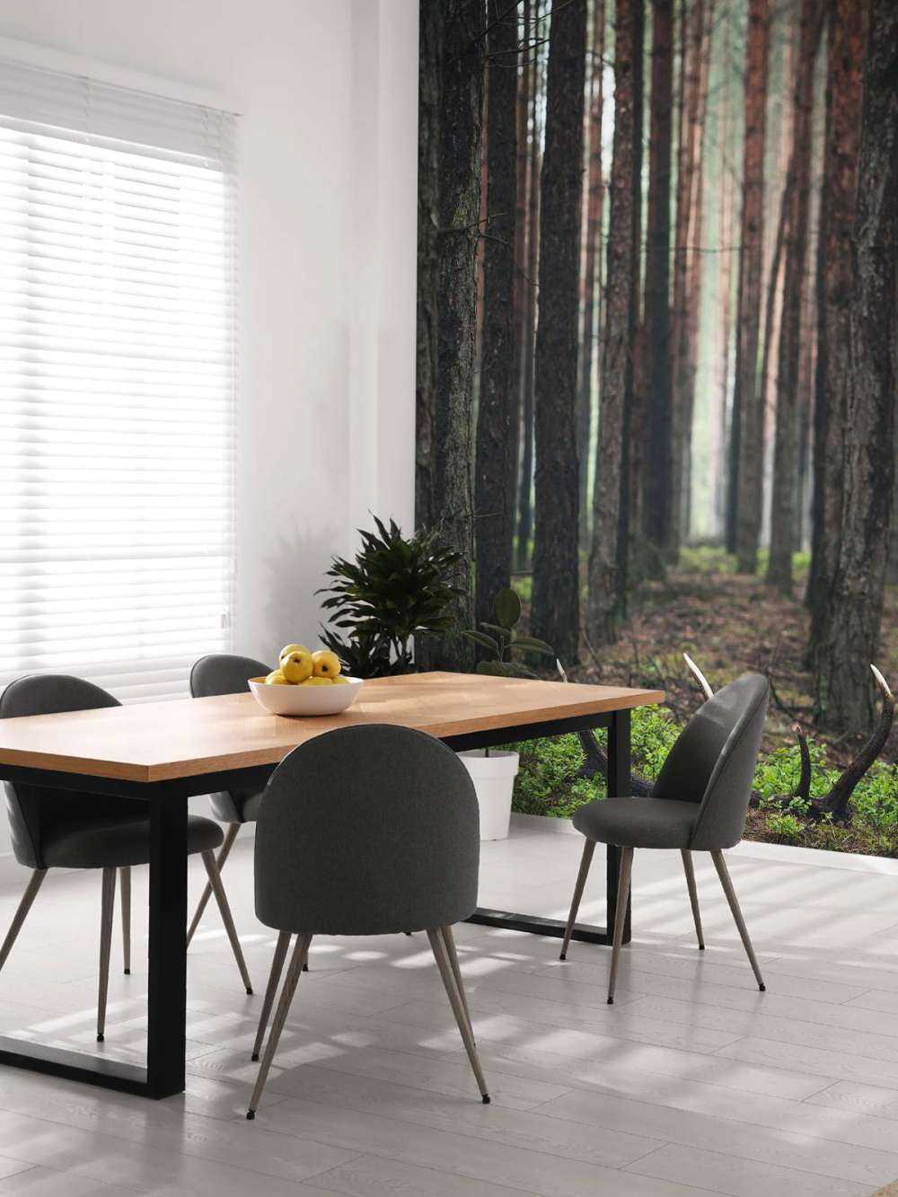 Sauvage&#x20;et&#x20;Myst&#xE8;re&#x20;entre&#x20;les&#x20;Arbres