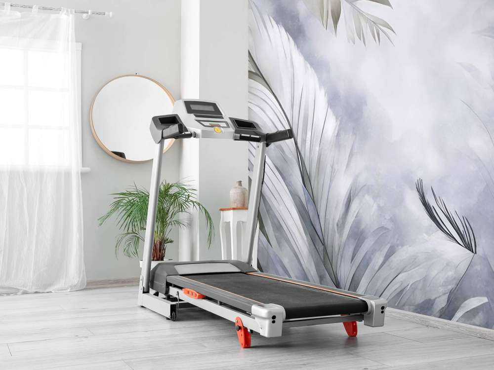 Plumes Magiques Pourpres