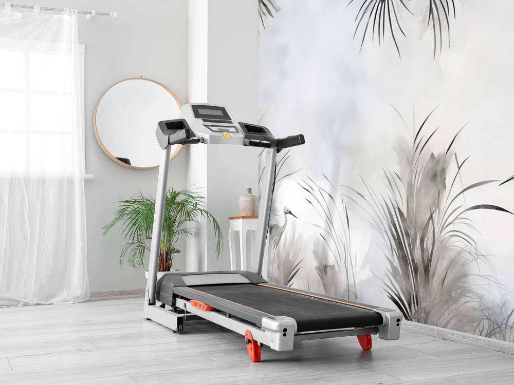 Grues en gris champêtre