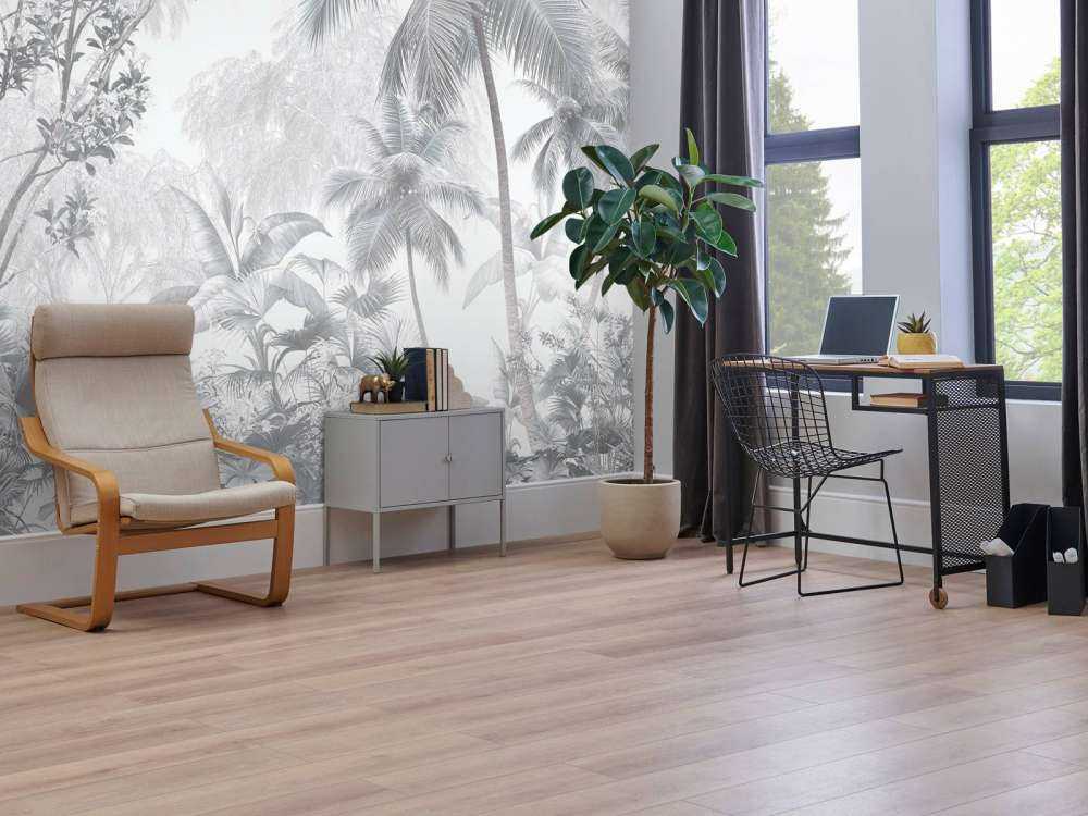 Palmiers de brume tropicaux