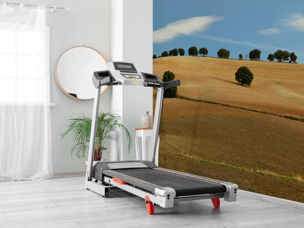 Les arbres dans le paysage espagnol