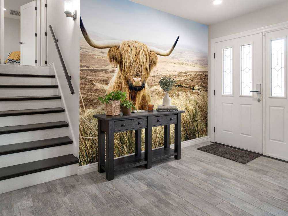 Highland écossais avec roseau