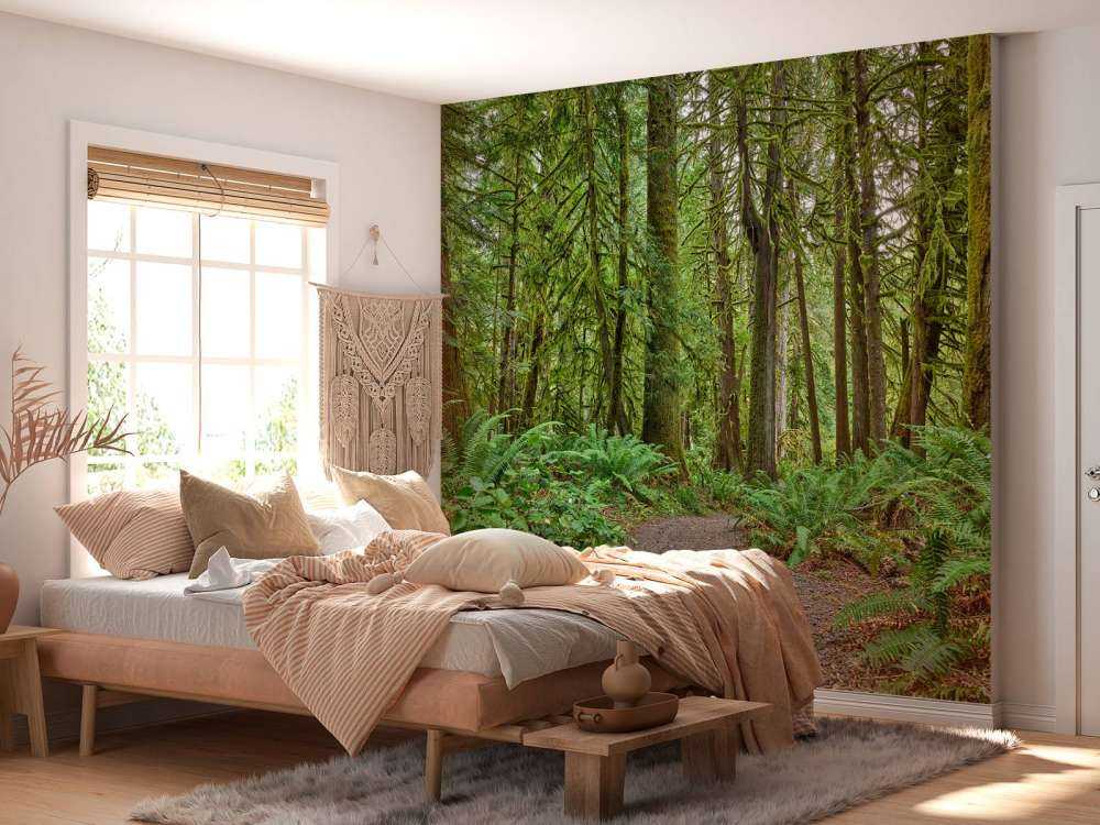 Sentier en pierres à travers la forêt