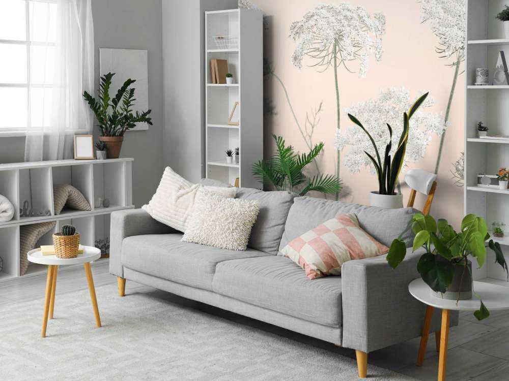 Cow parsley flowers on coloured background