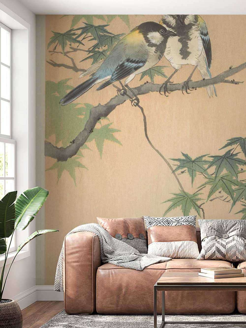 Lolos sur branche d'érable