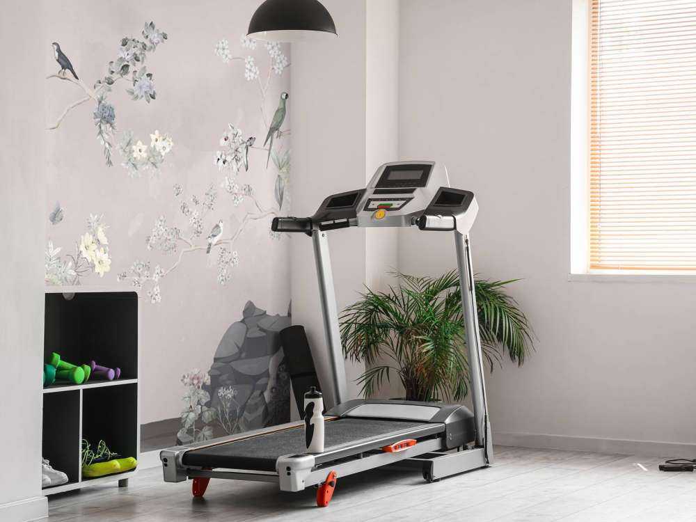 Birds in Garden Panorama 10