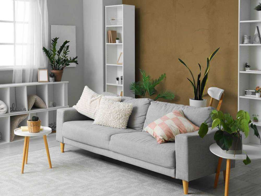 Béton marron coyote