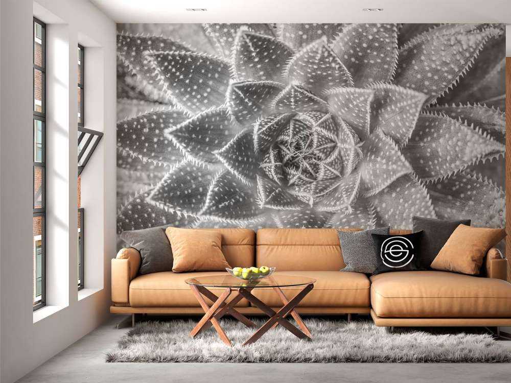 Gros plan sur succulente