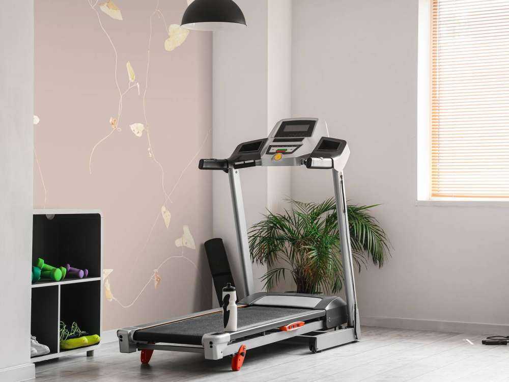 Branches d'aubépine