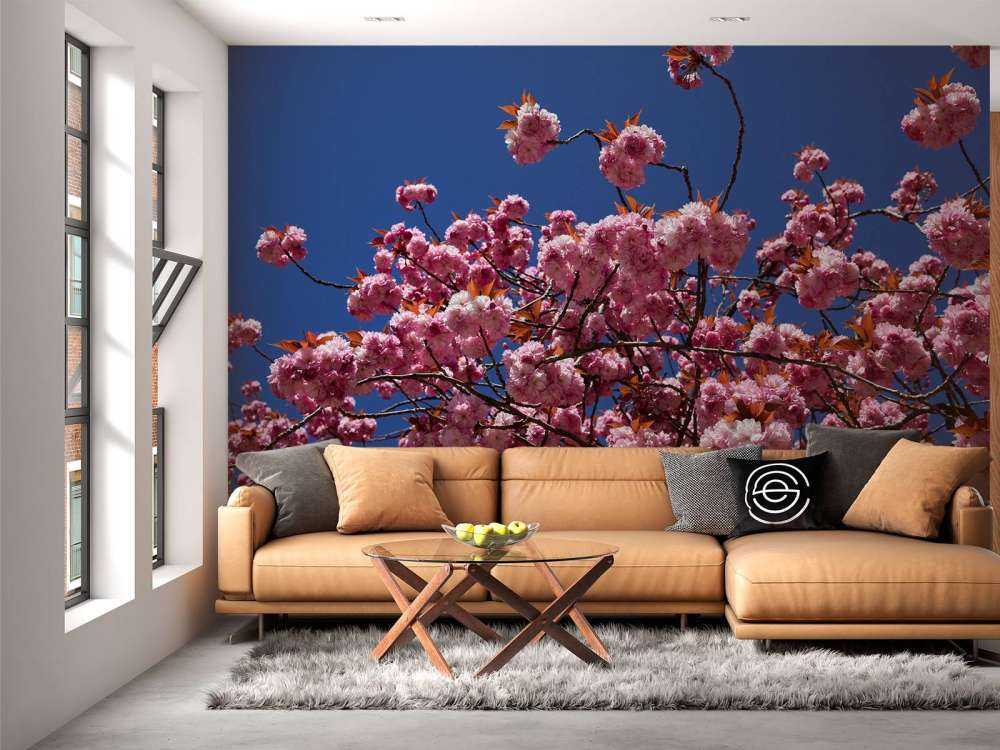 Fleur rose avec ciel bleu