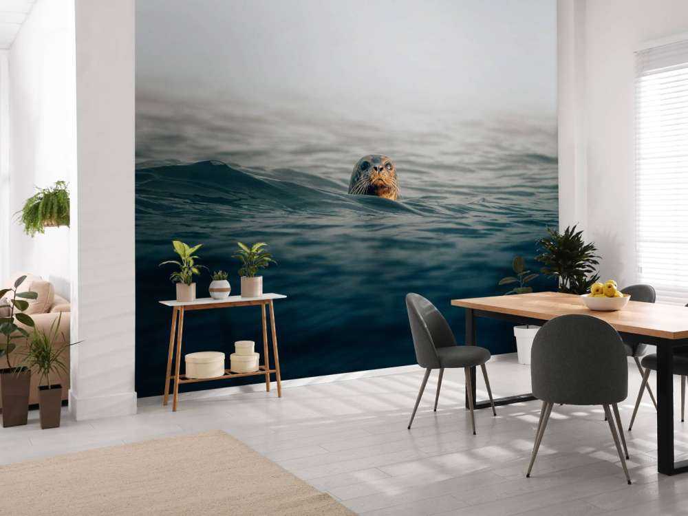 Un phoque au large des côtes danoises