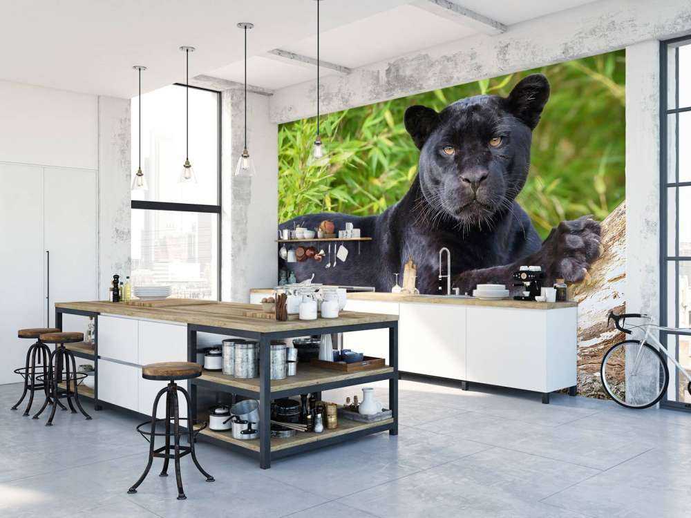 Panthère noire sur un arbre