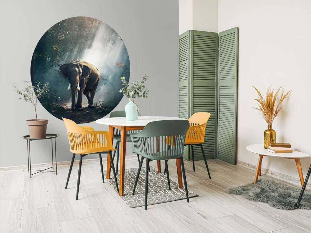 Éléphant dans une jungle