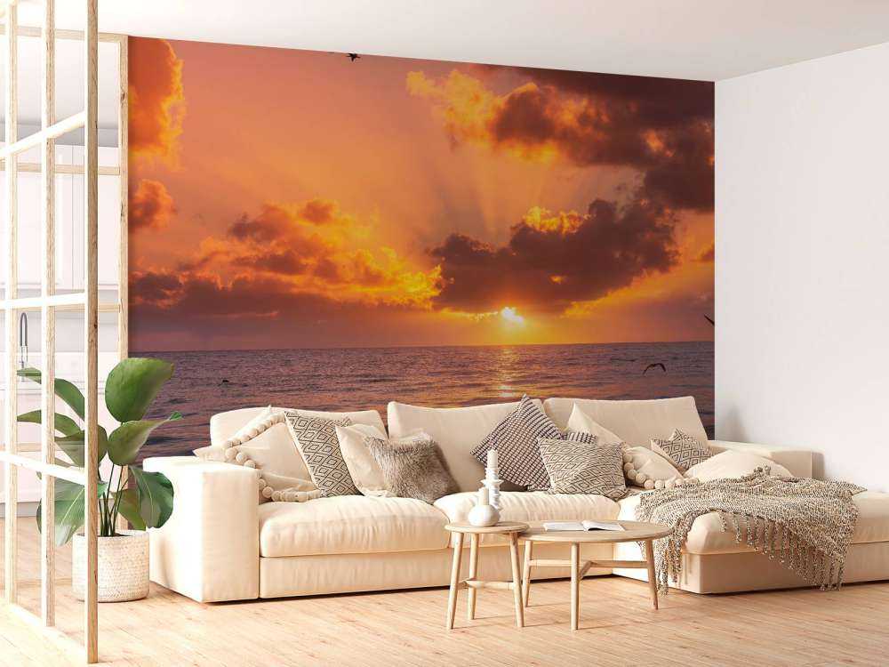 Magnifique coucher de soleil orange