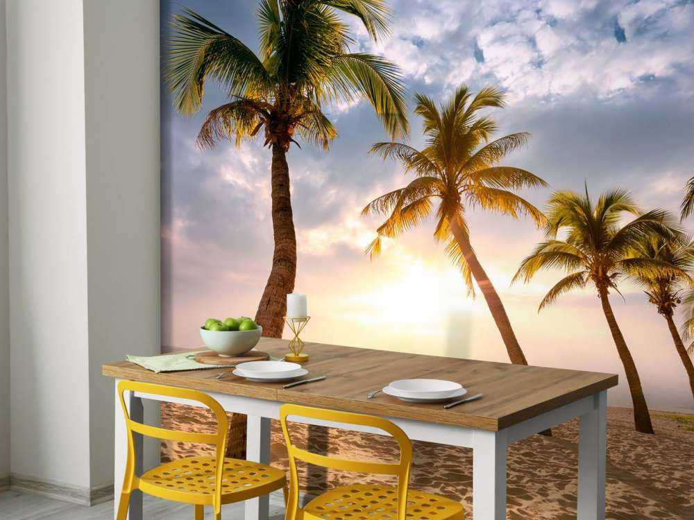 Palmiers à noix de coco contre le coucher du soleil