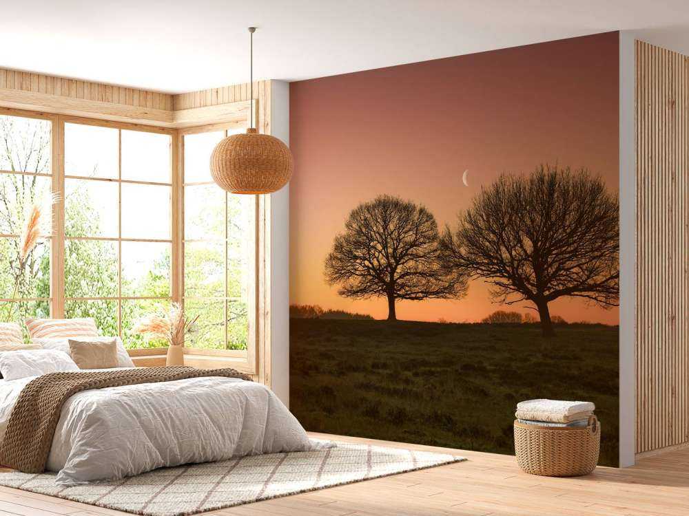 La lune entre les arbres