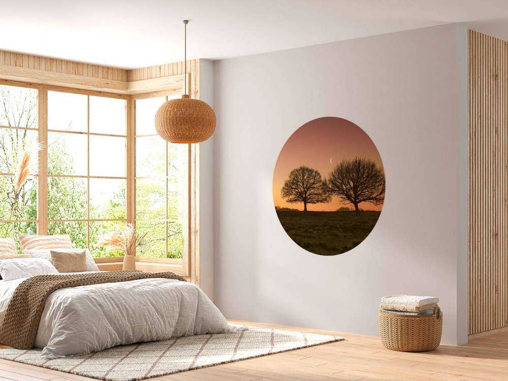 La lune entre les arbres