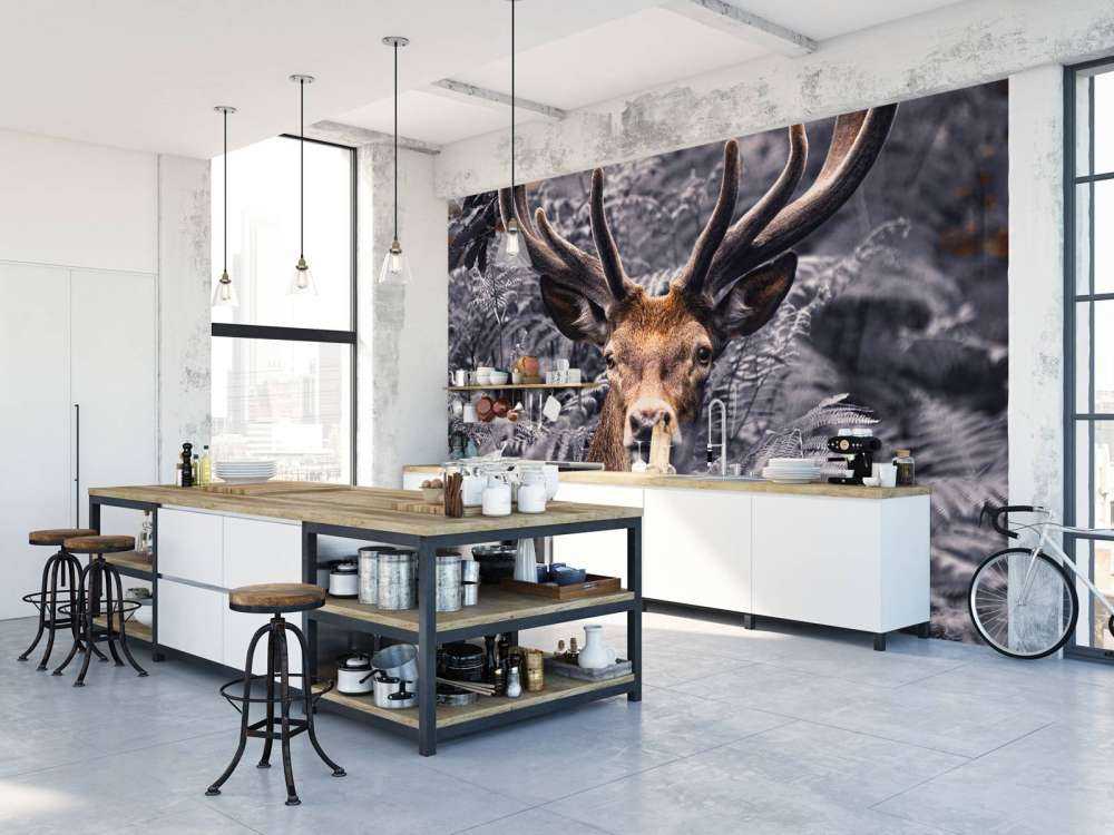 Gros plan sur un cerf