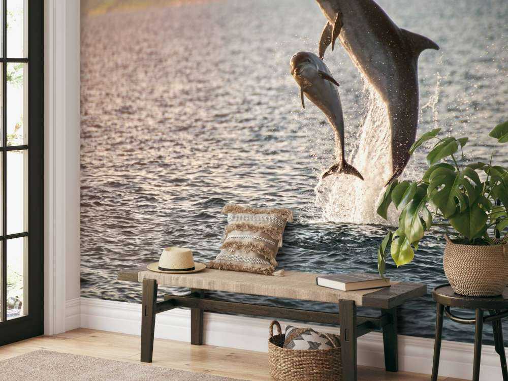 Deux dauphins qui sautent