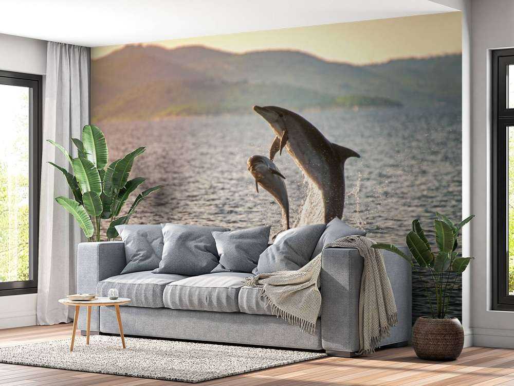 Deux dauphins qui sautent