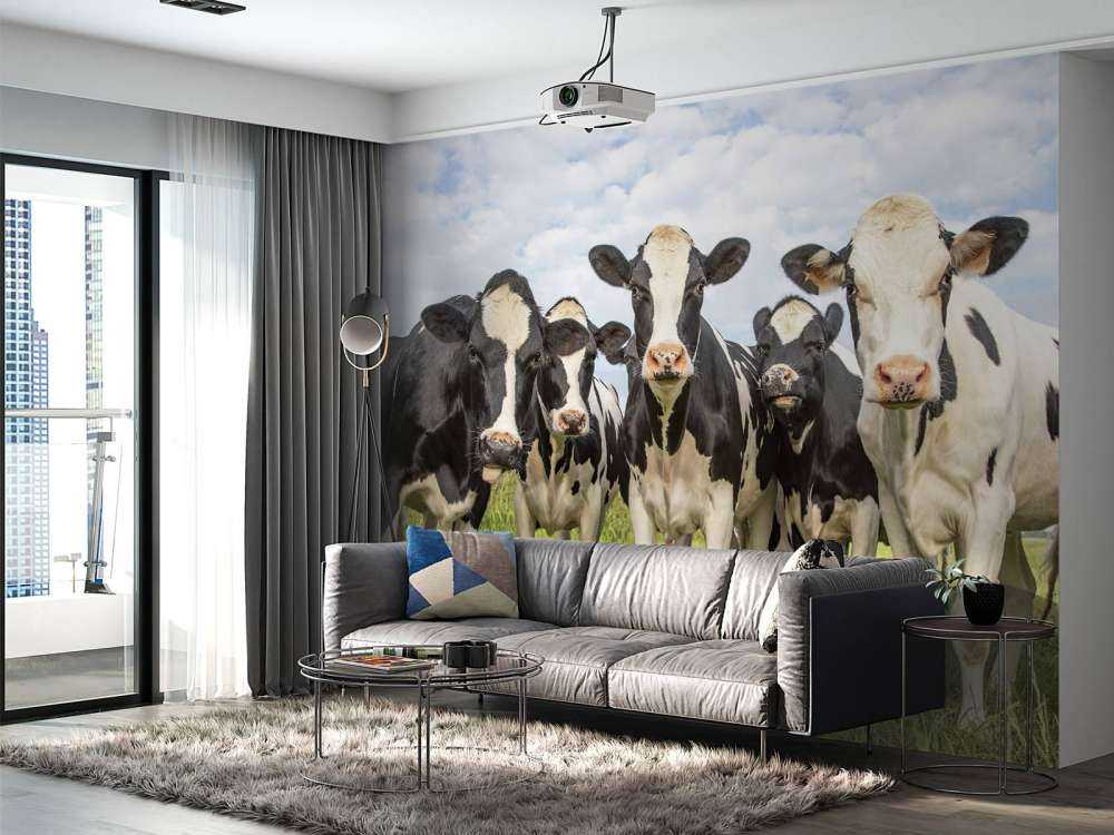 Troupeau de vaches