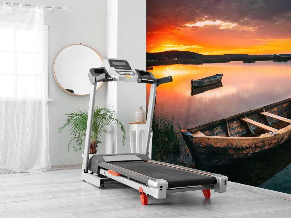 Bateaux au coucher du soleil