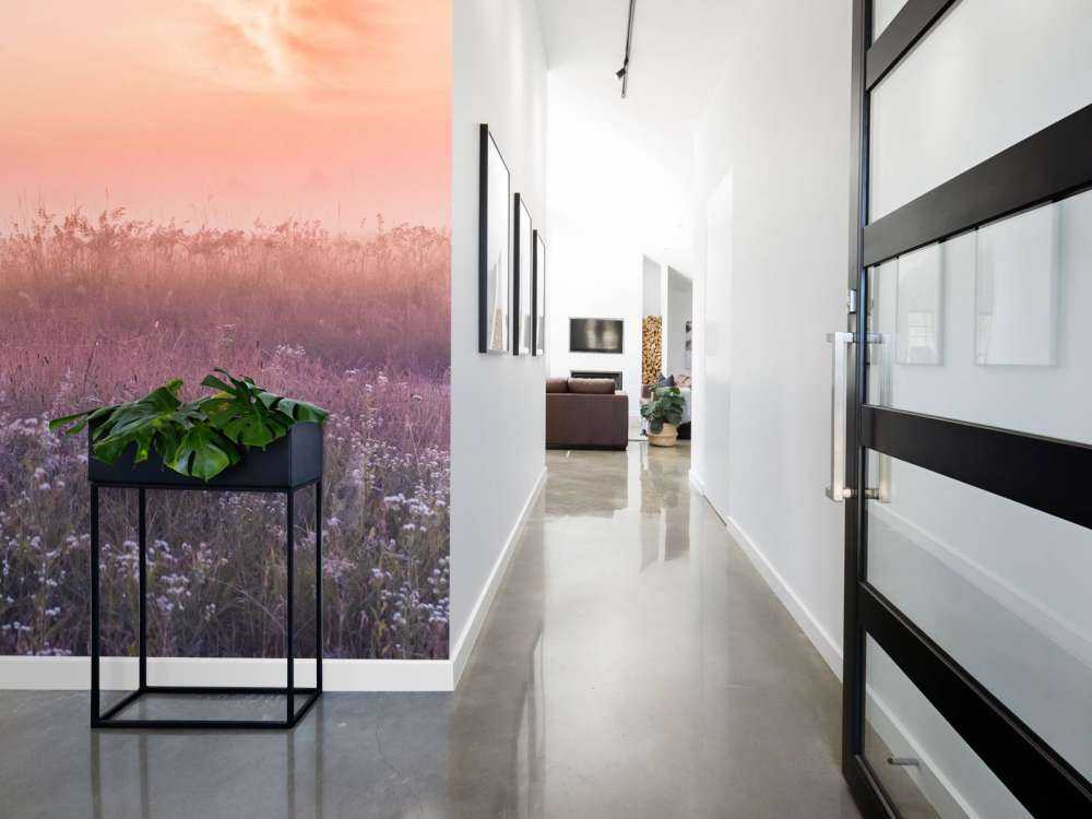 Champ avec brume du matin