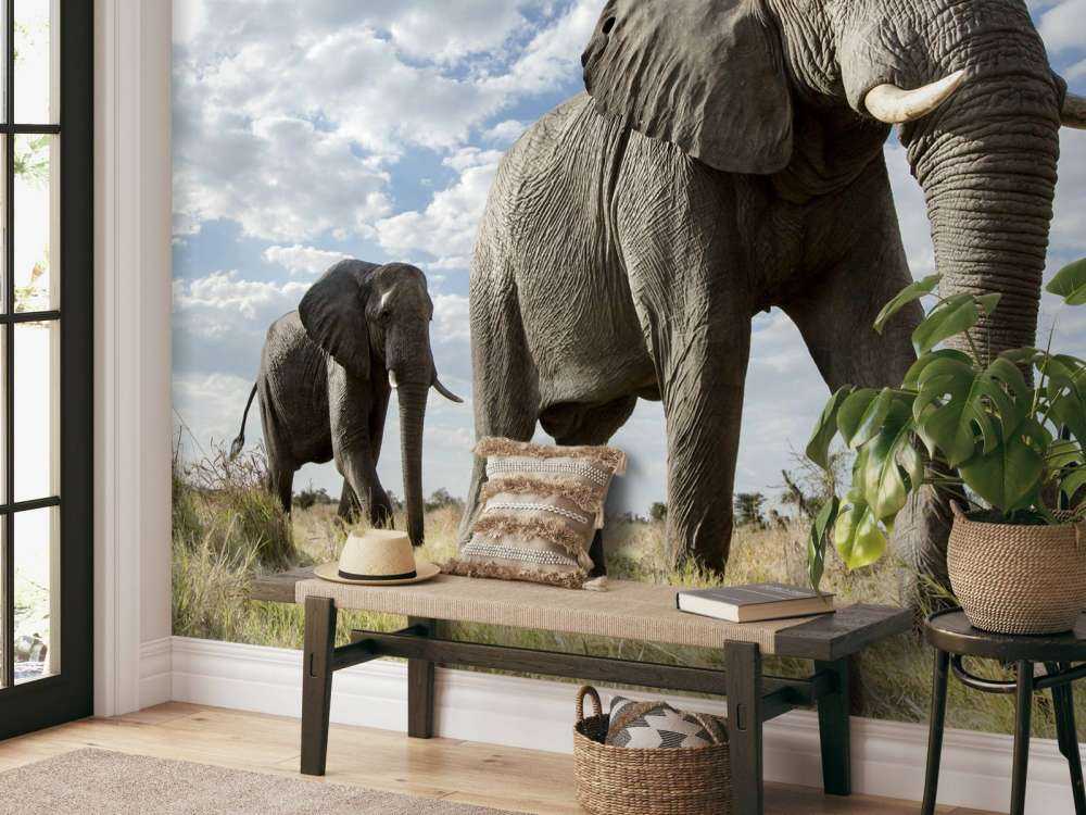 Le passage des éléphants
