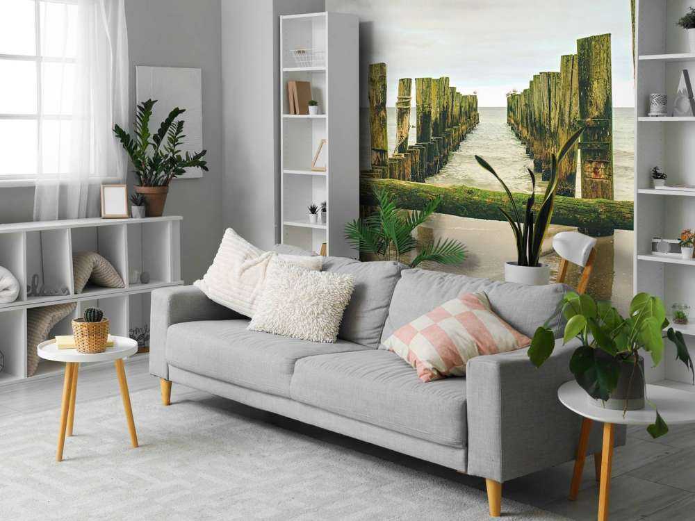 Des têtes de pieux moussues dans l'eau